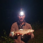 Erwin 8