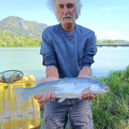 Kichl Manfred